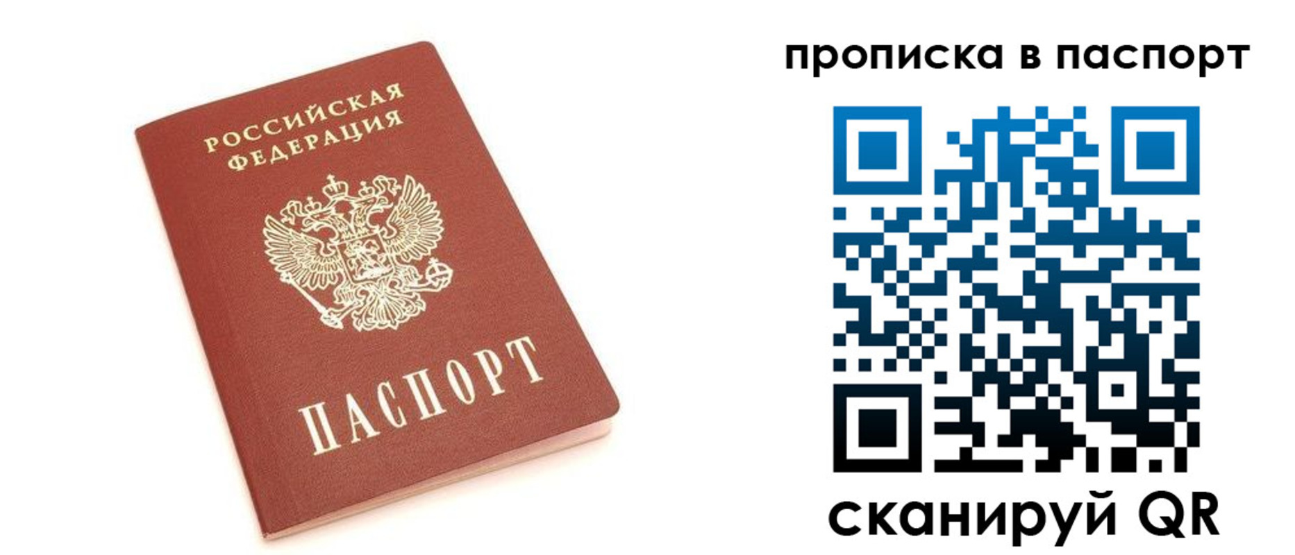 прописка в Нелидово